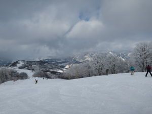 毎晩雪が降り、朝がくるたびにふわふわのパウダーが積もっていることも珍しくない日本のスキー場。