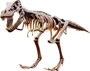 『全長8m超！スケルトンT-REX（ティラノサウルス骨格） 超巨大造形物（恐竜等身大フィギュア）』
