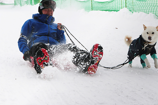 愛犬と本気で雪遊び 日本初のジップラインドッグパークに行ってきた Dime アットダイム