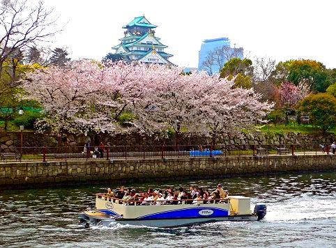 2ページ目 今年の花見はココでいかが 水上バスからゆったり眺める大阪 大川の桜クルーズ Dime アットダイム