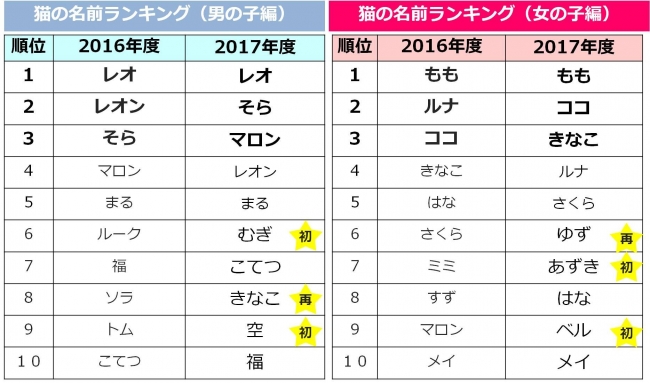 ペットの名前ランキング 犬の1位は マロン ネコの1位は Dime アットダイム