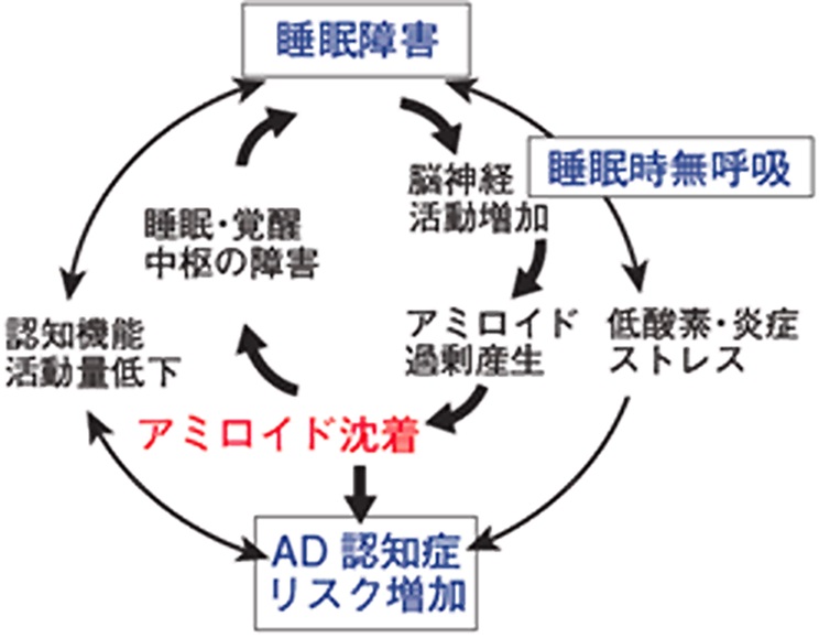 2ページ目 睡眠負債による脳疲労を解消する食事と睡眠改善法 Dime アットダイム