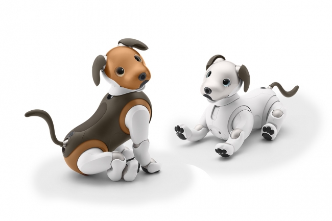 茶と白のコントライストがかわいいソニーの犬型ロボット Aibo の限定モデル Dime アットダイム