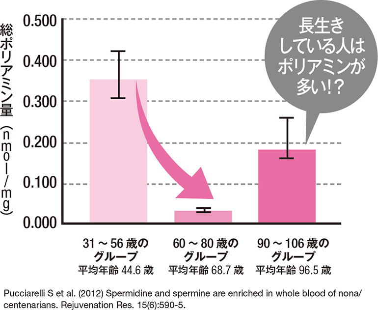 ポリアミンの減少イメージ