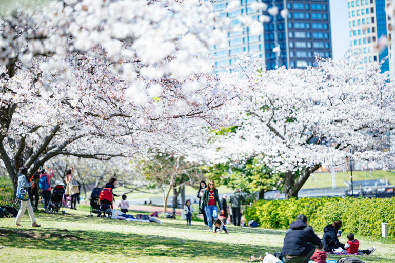 3連休は桜を見に行こう 東京のおすすめお花見デートスポット3選 Dime アットダイム