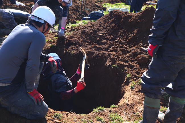 なぜ人気 ギネス世界記録にも認定されたひたすら穴を掘るだけのストイックな競技 全国穴掘り大会 Dime アットダイム