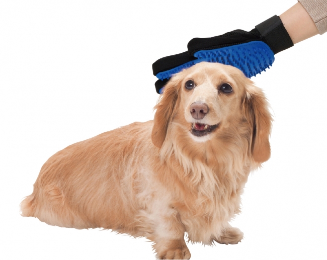 犬や猫のマッサージをしながらブラッシングができる 毛づくろい手袋 が便利 Dime アットダイム