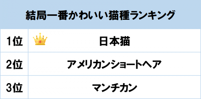 一番かわいいと思う猫種ランキングtop3 3位マンチカン 2位アメリカンショートヘア 1位は Dime アットダイム