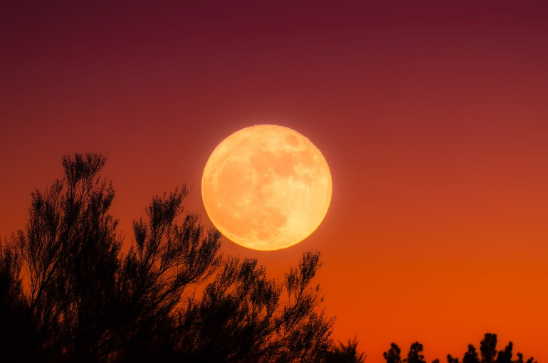 正式には日にちは 満月とは限らない 意外と知らない 中秋の名月 の基礎知識 Dime アットダイム
