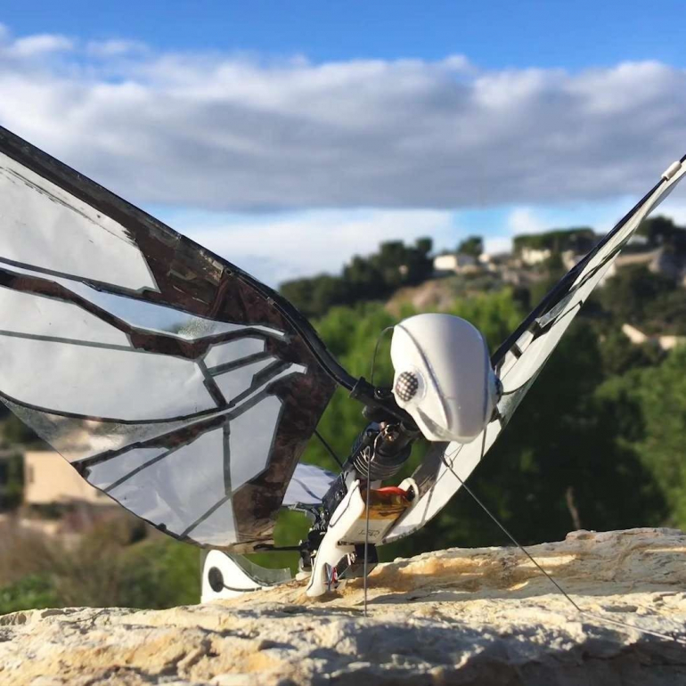 見た目も動きもちょっとリアル 本物の鳥のように羽ばたいて飛行するスパーキークリエイトの小型ドローン Metafly Dime アットダイム