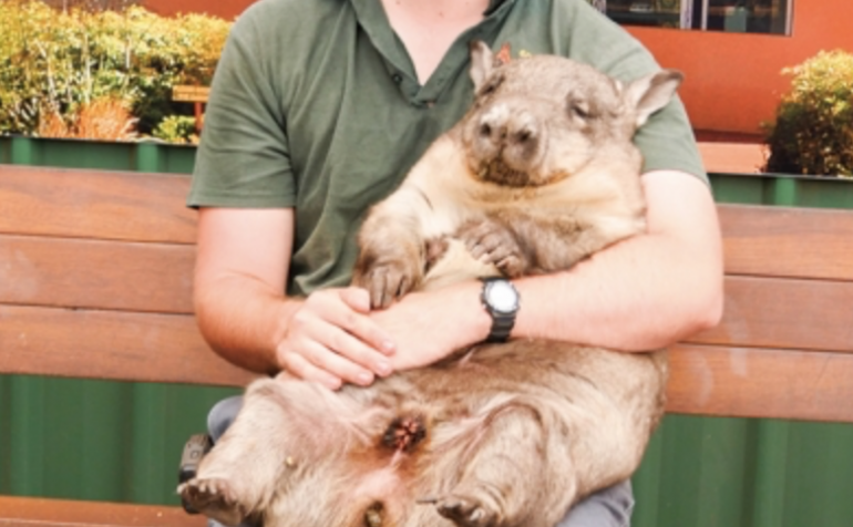 世界一幸せな動物クオッカが大人気 西オーストラリアで生息する野生動物や海洋生物たち Dime アットダイム