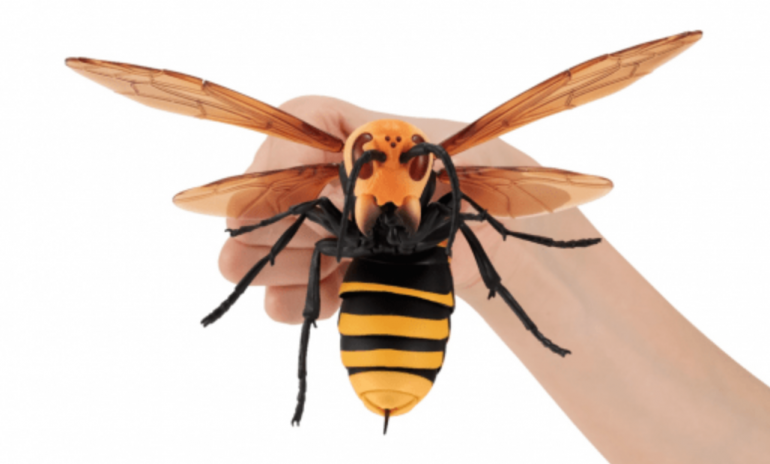全幅約0mmのリアルすぎるおもちゃ 昆虫界最強の蜂がカプセル玩具になったバンダイの すずめばち Dime アットダイム