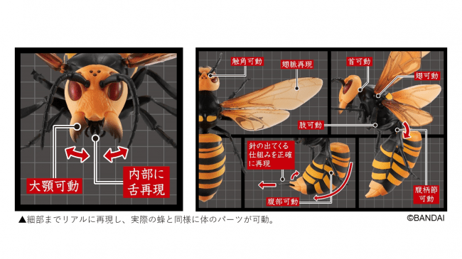 全幅約0mmのリアルすぎるおもちゃ 昆虫界最強の蜂がカプセル玩具になったバンダイの すずめばち Dime アットダイム