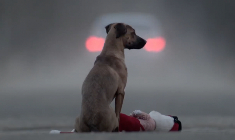 犬を飼う責任を無言で訴えるショートフィルム Gift 贈り物 Dime アットダイム