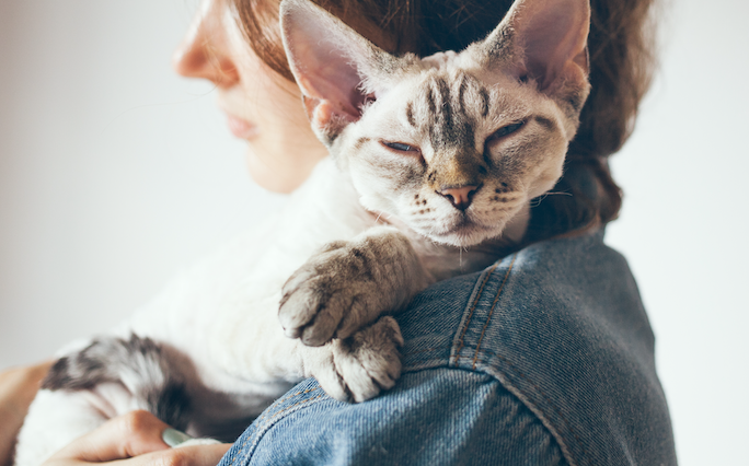 読めばもっと好きになる 猫がもつ不思議な力 Dime アットダイム