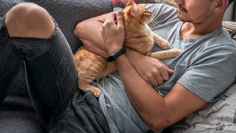 猫を飼っている男性の2人に1人が飼うようになってから 外泊頻度が減少 Dime アットダイム