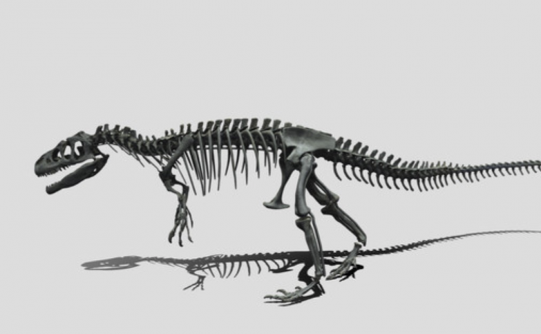 子どもが喜ぶ 日本各地にある恐竜化石をvrで360度見学できる国立科学博物館の特設サイト ディノ ネット デジタル恐竜展示室 Dime アットダイム