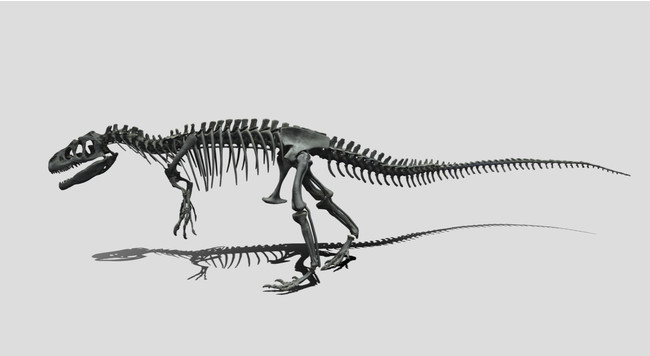 子どもが喜ぶ 日本各地にある恐竜化石をvrで360度見学できる国立科学博物館の特設サイト ディノ ネット デジタル恐竜展示室 Dime アットダイム