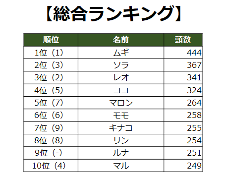 人気の猫種ランキング 3位混血猫 2位マンチカン 1位は Dime アットダイム