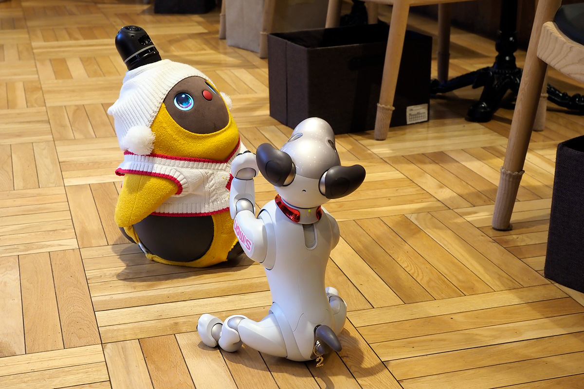 AIBOとの遭遇！ロボット犬とLOVOTが出会ったら…｜@DIME アットダイム