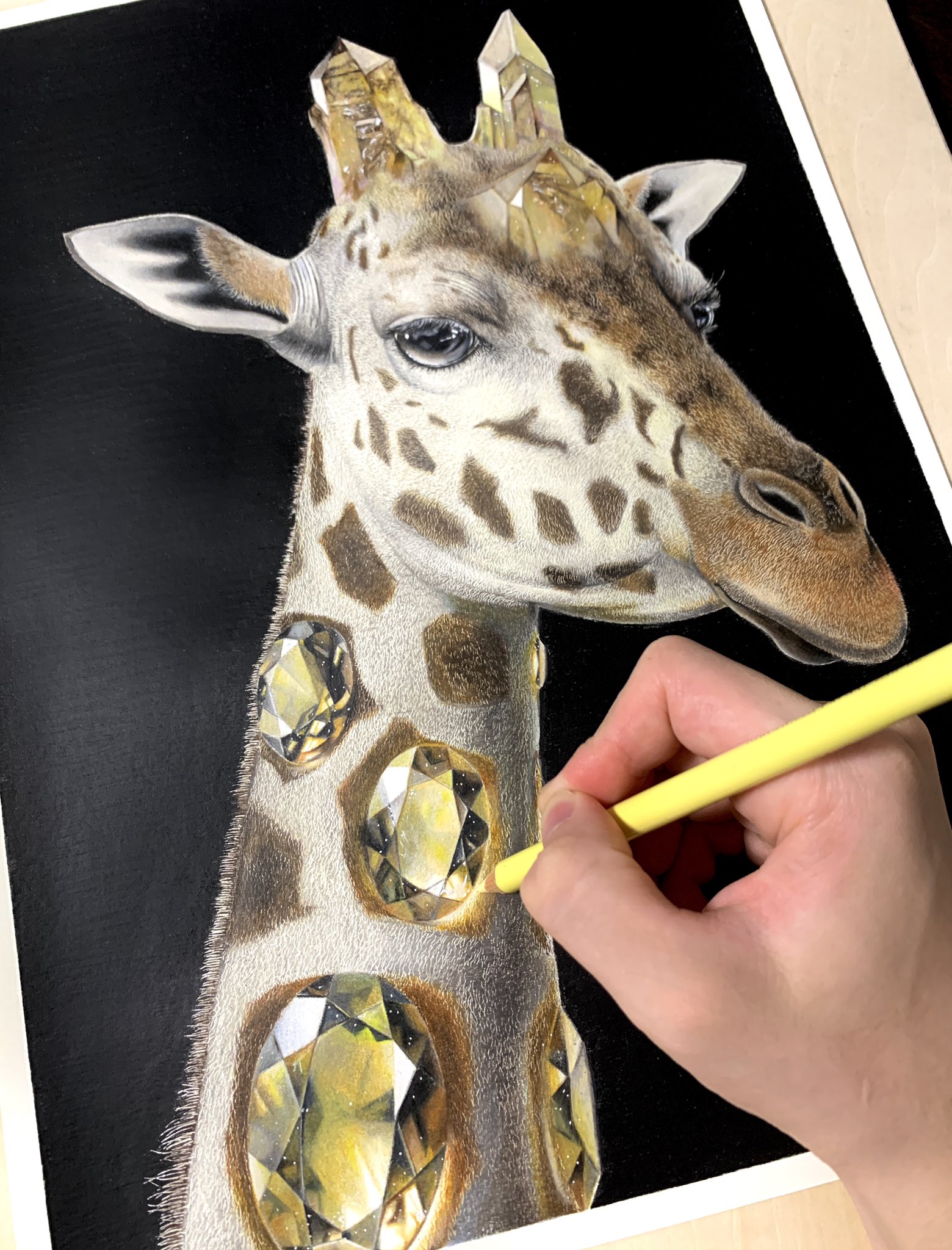 動物と宝石が融合 新進気鋭の19歳アーティストが描く美麗イラスト Dime アットダイム