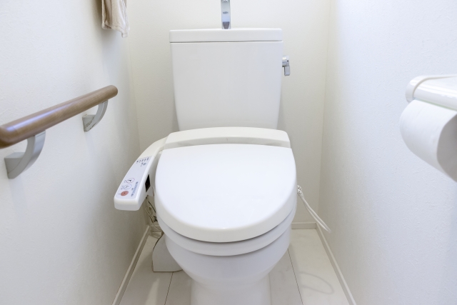 コロナ禍で生じた 自宅トイレの使い方 の変化 Dime アットダイム