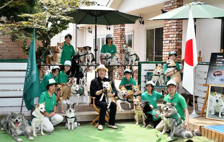 犬には不思議な力がある 認知症のケアなど人間の心身の病気に一緒に立ち向かう セラピードッグ のお仕事 Dime アットダイム