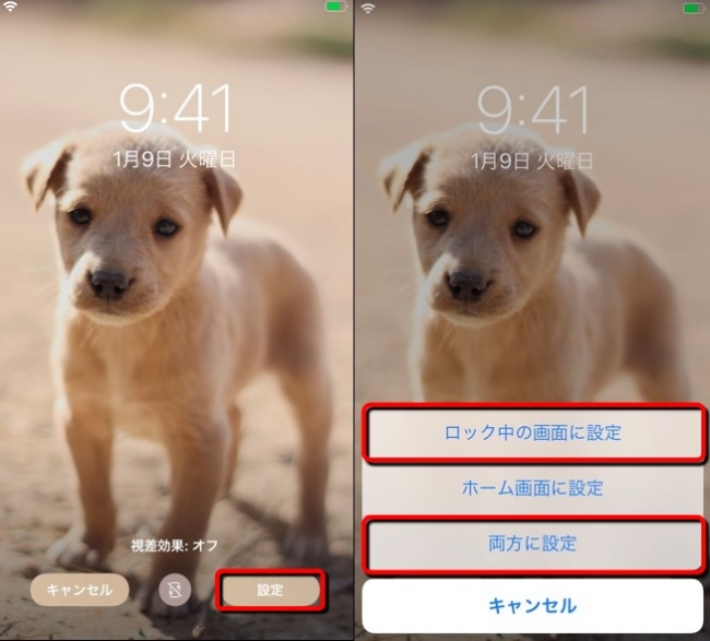 今さら聞けない Iphoneのロック画面の壁紙を変える方法 Dime アットダイム