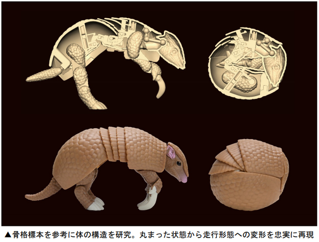 変形の過程を楽しめるガシャポンいきもの大図鑑シリーズに ミツオビアルマジロ が登場 Dime アットダイム