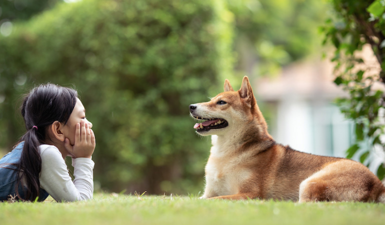 うんちの時に南北を向く 雷が怖い 犬にまつわる 説 を検証した結果 Dime アットダイム