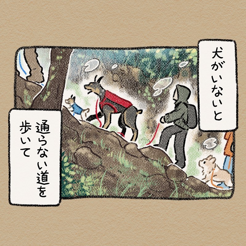 ドベとノラさんの犬漫画11