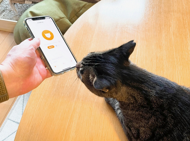 猫好きにはたまらない 猫の鳴き声を11の気分に分類して翻訳するアプリ Dime アットダイム