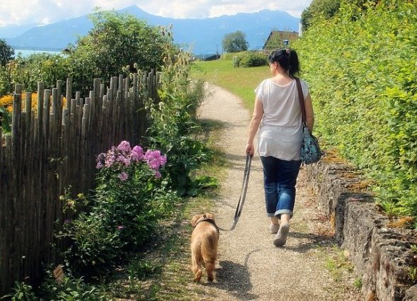 犬の散歩をしている女性