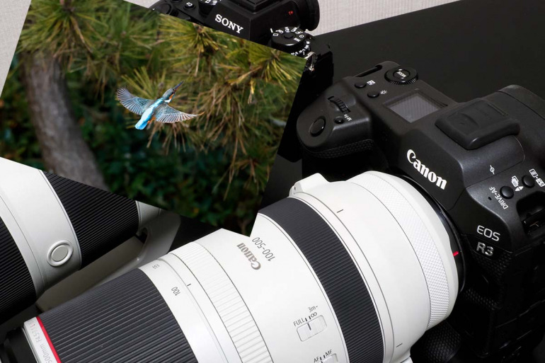 ソニー「α1」とキヤノン「EOS R3」、カワセミ撮影に最適なカメラは