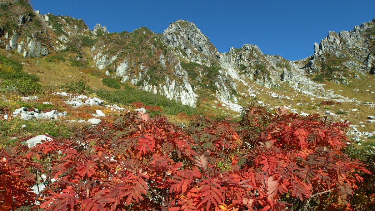 日本一高い場所にある駅で秋を満喫 2万年前の氷河期が生んだ中央アルプス 千畳敷カール の歩き方 Dime アットダイム