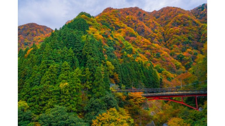 県民割：富山県の黒部渓谷