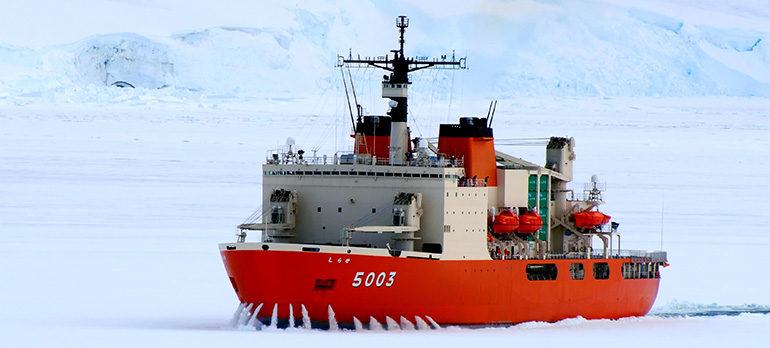 南極観測隊