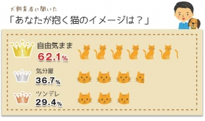 猫と猫の飼育者に対するイメージと実態について調査