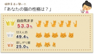 猫と猫の飼育者に対するイメージと実態について調査