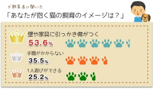 猫と猫の飼育者に対するイメージと実態について調査