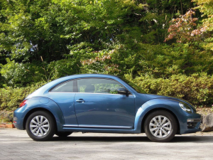 The Beetle Design