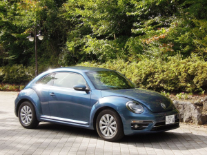 The Beetle Design