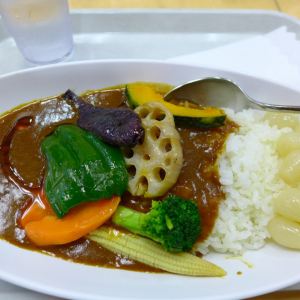 胃もたれしない！太りにくい！カレーライスの食べ方