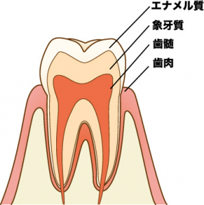 なぜマイナスイオンの歯ブラシで歯垢が落ちるのか!?