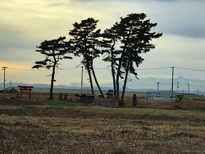 日本一高い地下鉄の駅と日本一低い山が仙台にあった！