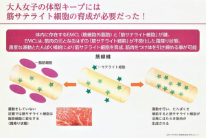 40～50代の“大人女子”に多く出現!?“おたるみさま”“おふとりさま”の実態と解消法