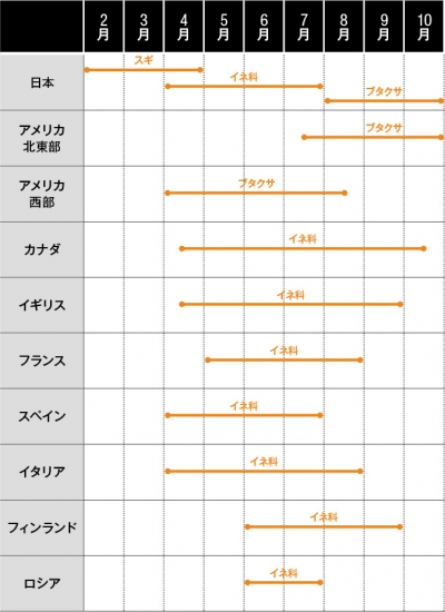 世界の花粉症事情調査