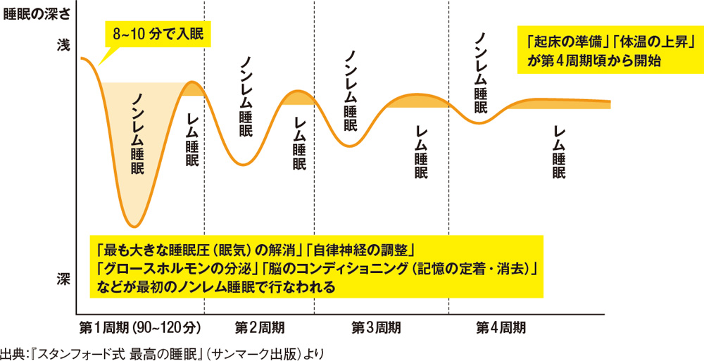 スリープサイクル中に脳と体に起きていること