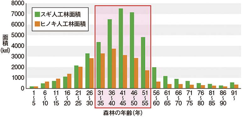 スギ・ヒノキ人工林の年齢別面積