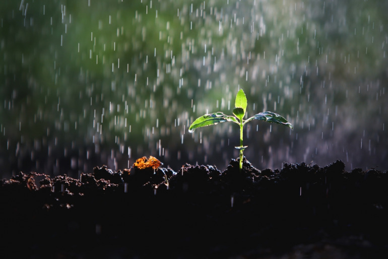 雨が降る様子